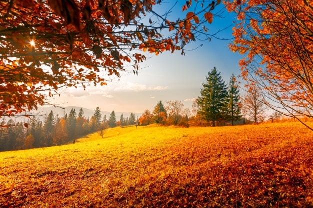 5 عکس پاییزی با کیفیت بالا و اصل
